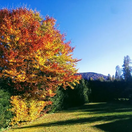Kirchplatzl Leutasch